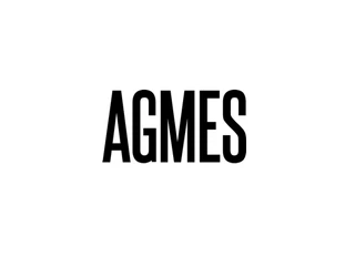 agmesnyc.com