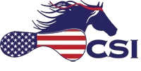 csisaddlepads.com