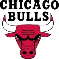 bulls.com